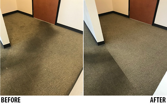before-after-carpet-care